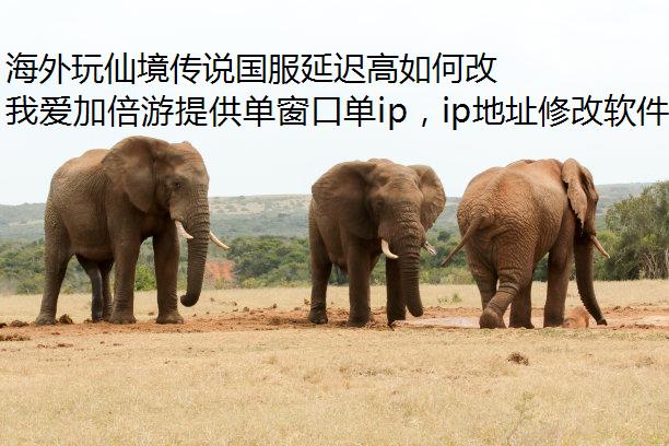 海外玩仙境传说国服延迟高如何改善？