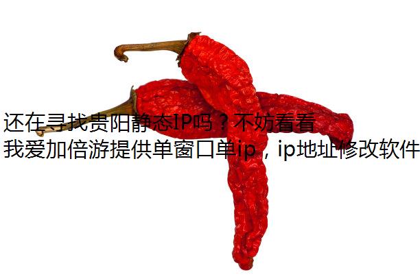 还在寻找贵阳静态IP吗？不妨看看我爱加倍游