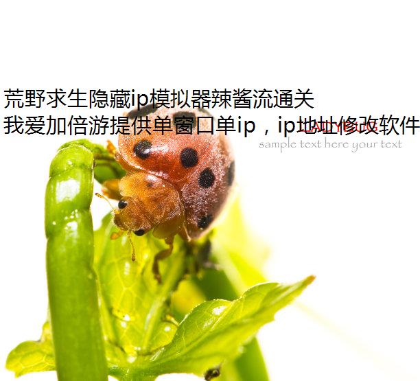 荒野求生隐藏ip模拟器辣酱流通关路线分享