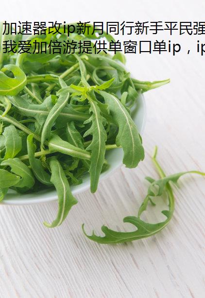 加速器改ip新月同行新手平民强力阵容配队一览