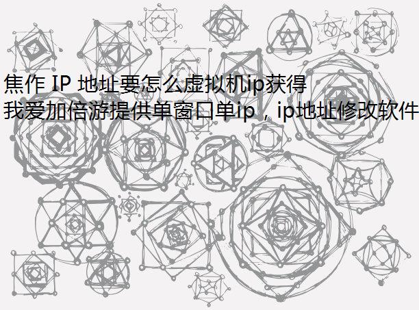 焦作 IP 地址要怎么虚拟机ip获得?就用我爱加倍游