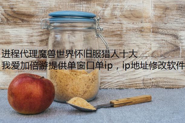 进程代理魔兽世界怀旧服猎人十大副本刷钱地点