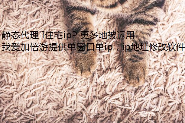 静态代理 I住宅ipP 更多地被运用在哪些方面?