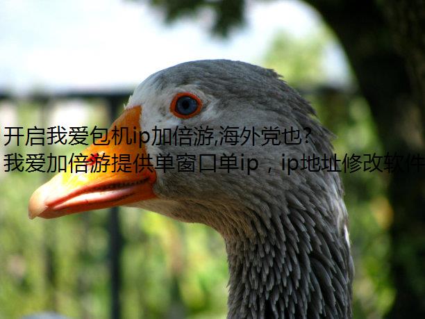 开启我爱包机ip加倍游,海外党也能顺畅使用保利票务APP!