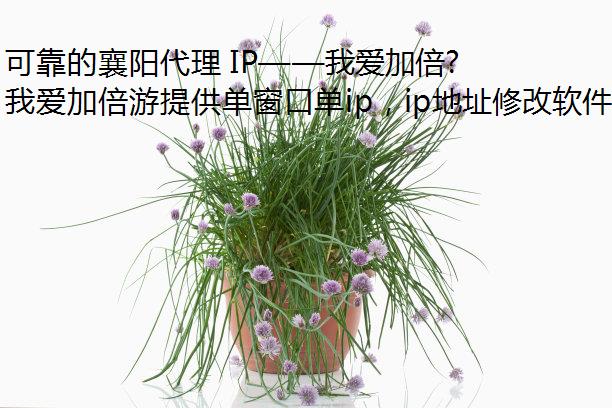 可靠的襄阳代理 IP——我爱加倍游代理 