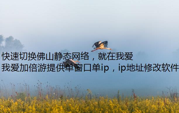 快速切换佛山静态网络，就在我爱加倍游！