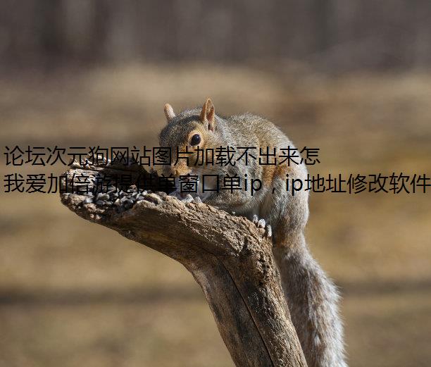 论坛次元狗网站图片加载不出来怎么办？