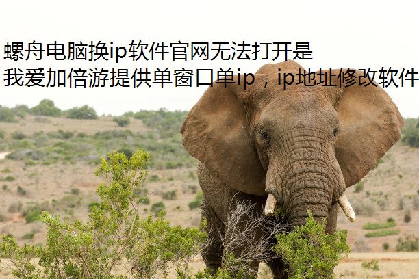 螺舟电脑换ip软件官网无法打开是怎么回事?