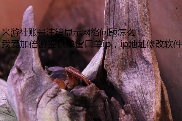 米游社账号注销显示网络问题怎么回事？