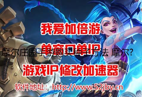 摩尔庄园手游购买种子方法 摩尔庄园手游游戏IP怎么炖龙虾攻略