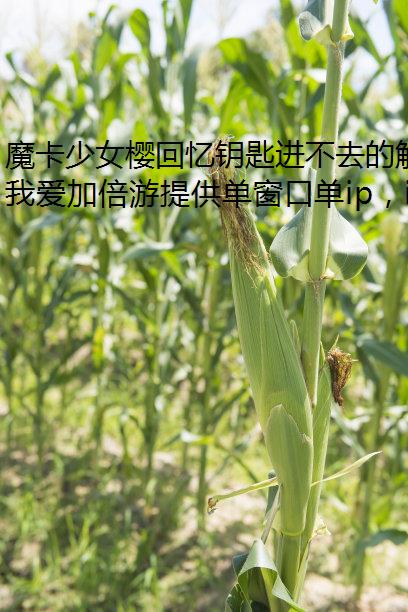 魔卡少女樱回忆钥匙进不去的解决方法
