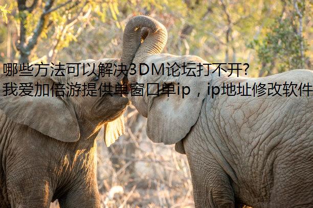 哪些方法可以解决3DM论坛打不开的问题？