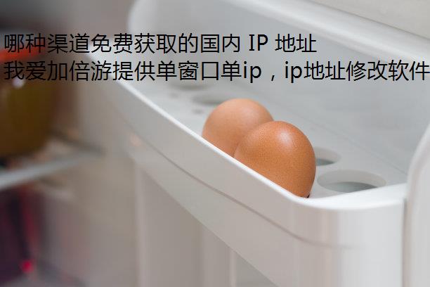 哪种渠道免费获取的国内 IP 地址比较可靠？