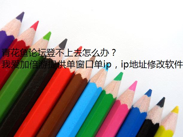 青花鱼论坛登不上去怎么办？