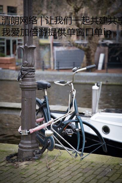 清朗网络 | 让我们一起共建共享免费IP地址美丽精神家园