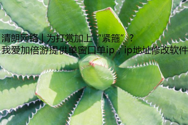 清朗网络 | 为打赏加上“紧箍”，还网络直播健康