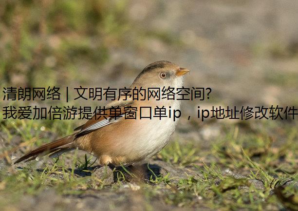 清朗网络 | 文明有序的网络空间，需携手呵护！