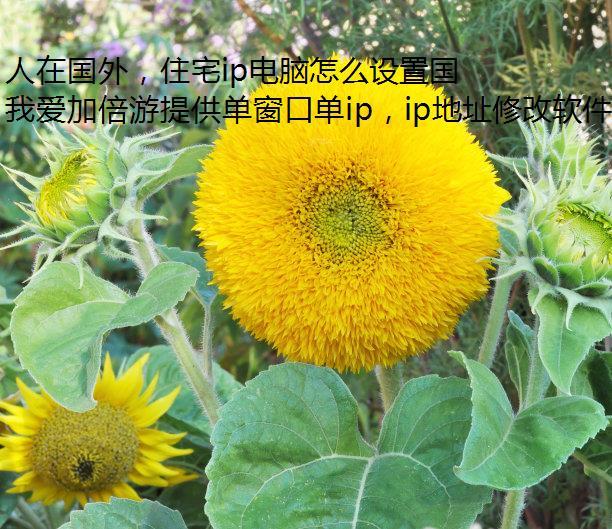 人在国外，住宅ip电脑怎么设置国内ip？