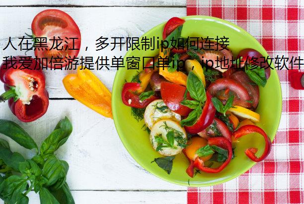 人在黑龙江，多开限制ip如何连接三明的网络？
