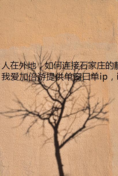 人在外地，如何连接石家庄的静态网络