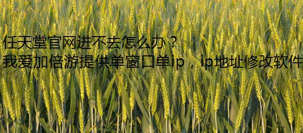 任天堂官网进不去怎么办？