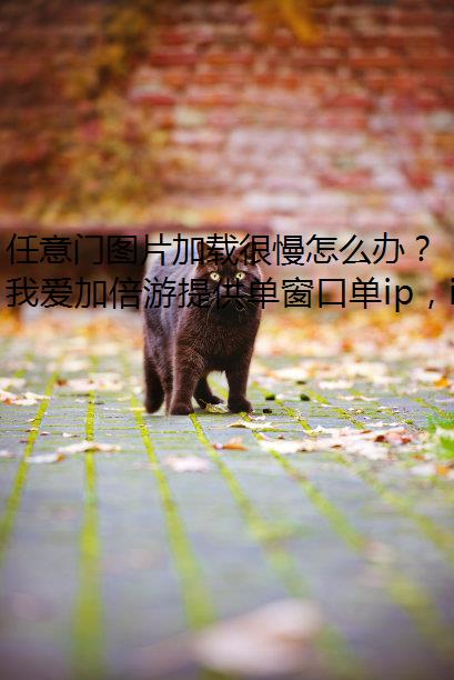 任意门图片加载很慢怎么办？