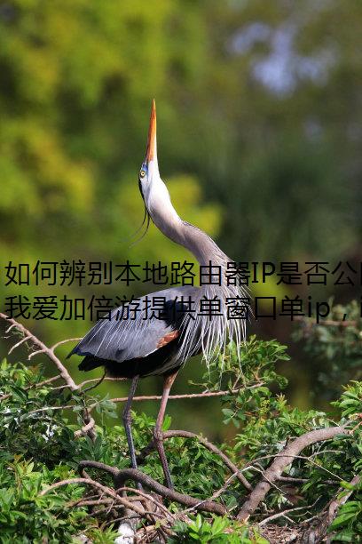 如何辨别本地路由器IP是否公网IP?