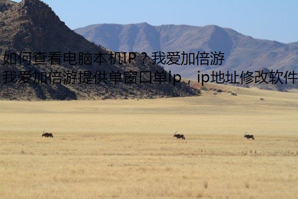 如何查看电脑本机IP？我爱加倍游教你两个操作小技巧！