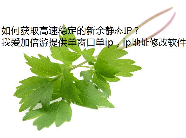 如何获取高速稳定的新余静态IP？