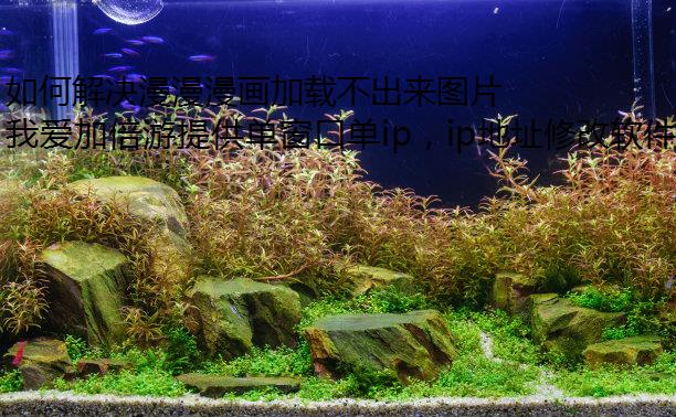 如何解决漫漫漫画加载不出来图片的问题？