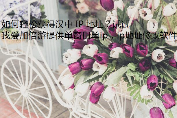如何轻松获得汉中 IP 地址？试试我爱加倍游