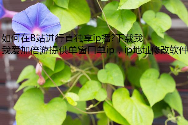 如何在B站进行直独享ip播?下载我爱加倍游畅快开播