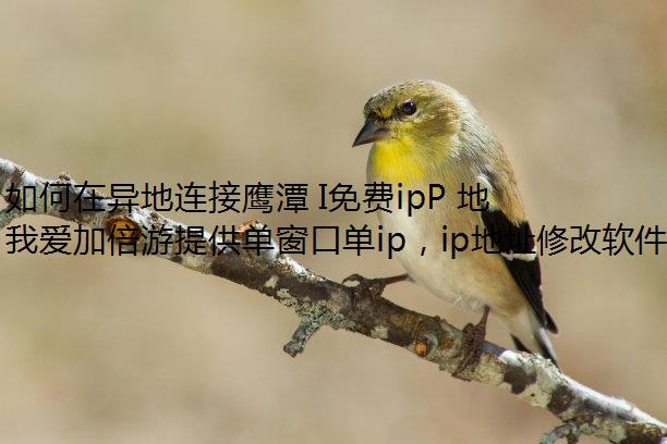 如何在异地连接鹰潭 I免费ipP 地址?试试我爱加倍游