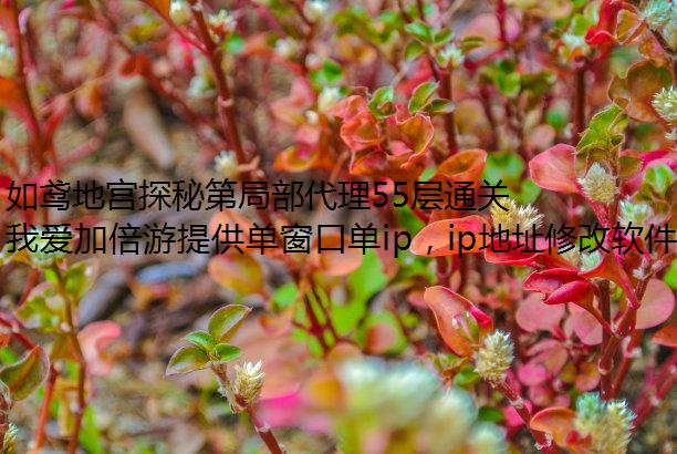 如鸢地宫探秘第局部代理55层通关攻略分享