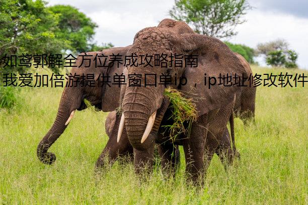 如鸢郭解全方位养成攻略指南