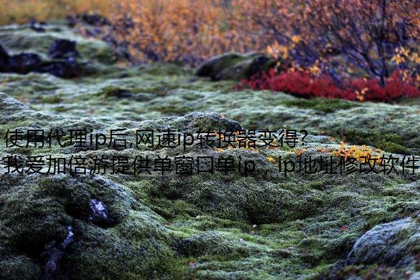 使用代理ip后,网速ip转换器变得缓慢的原因有哪些?