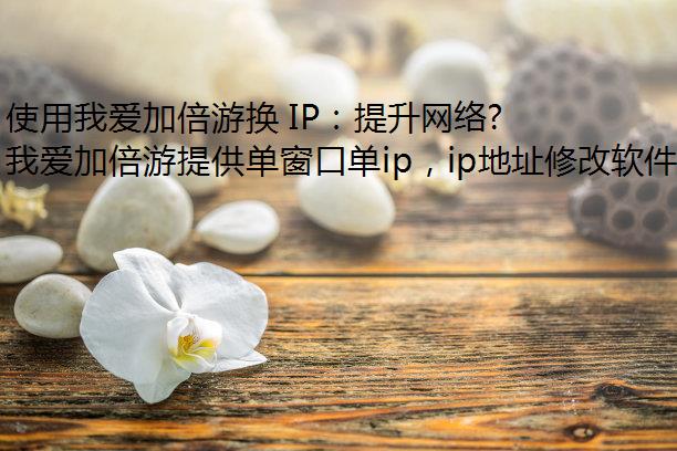 使用我爱加倍游换 IP：提升网络体验的终极指南