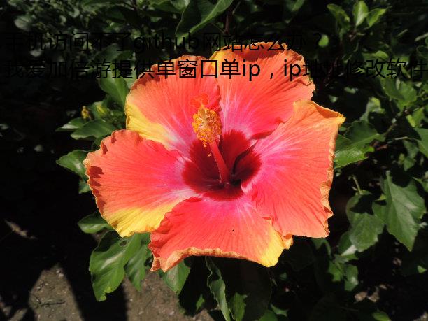手机访问不了github网站怎么办？