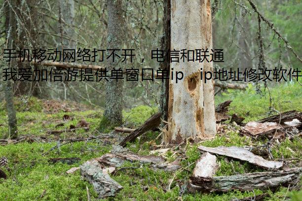 手机移动网络打不开，电信和联通却能打开怎么回事？