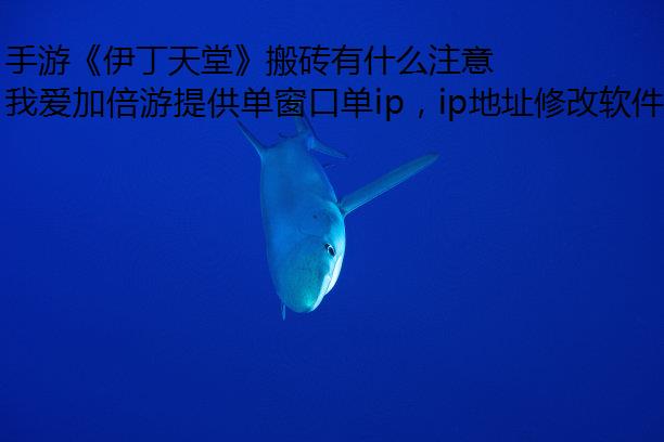 手游《伊丁天堂》搬砖有什么注意事项？