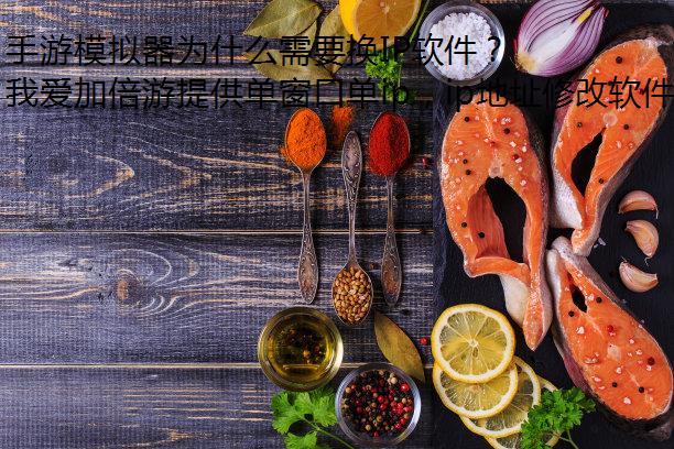 手游模拟器为什么需要换IP软件？