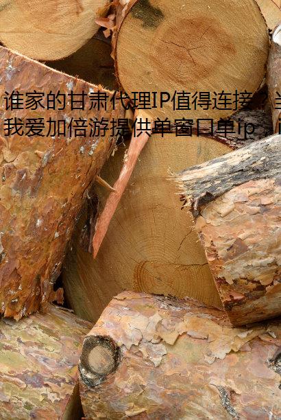 谁家的甘肃代理IP值得连接？当然是选择我爱加倍游~