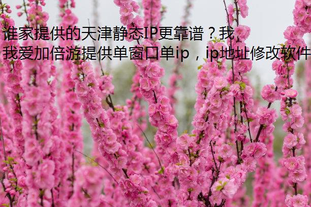 谁家提供的天津静态IP更靠谱？我爱加倍游值得信赖！