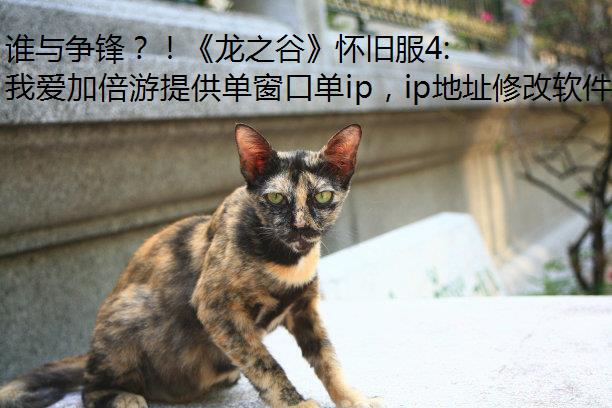 谁与争锋？！《龙之谷》怀旧服4:4天梯赛玩法今日激燃上线！