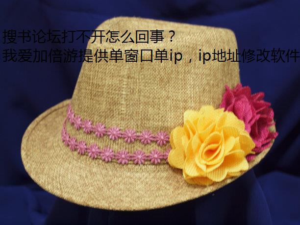 搜书论坛打不开怎么回事？