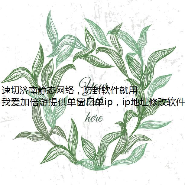 速切济南静态网络，防封软件就用我爱加倍游！