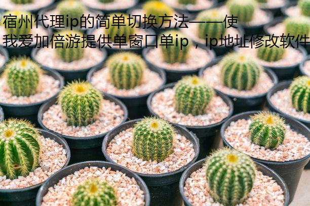 宿州代理ip的简单切换方法——使用我爱加倍游静态ip