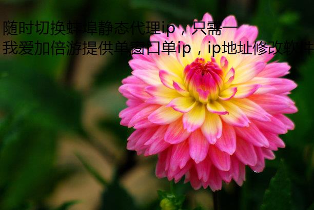 随时切换蚌埠静态代理ip，只需一款我爱加倍游！