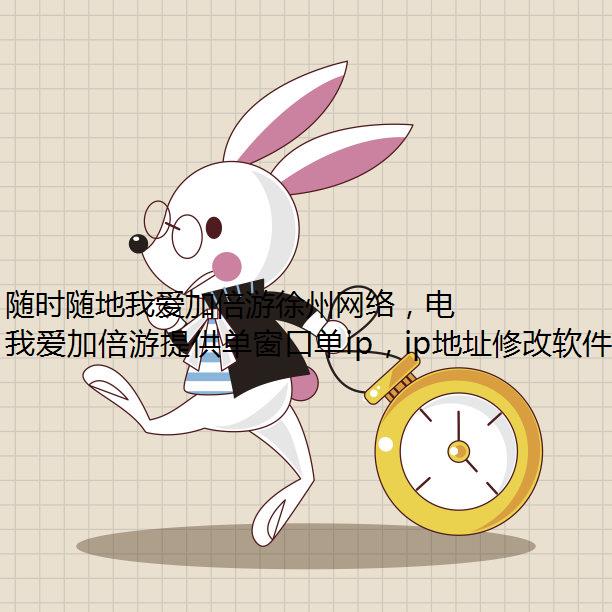 随时随地我爱加倍游徐州网络，电脑换ip软件就用我爱加倍游！