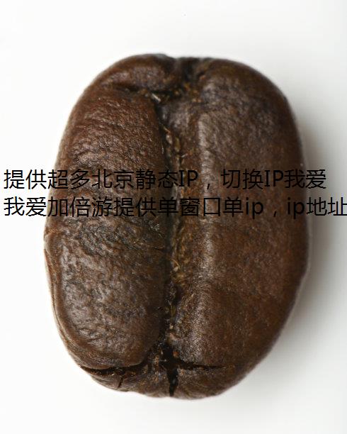 提供超多北京静态IP，切换IP我爱加倍游是你连接北京代理IP的不二选择